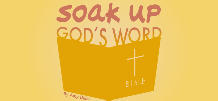 Soak Up God’s Word Soak Up God’s Word